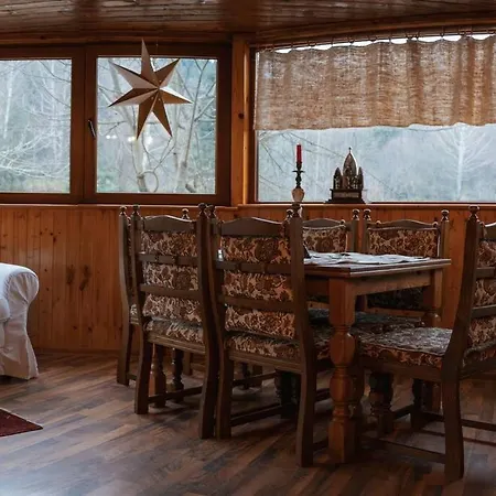 Biniste -tiny House By The River Chalet Dejani