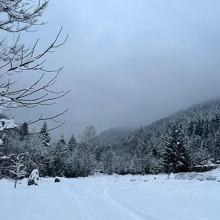 Biniste -tiny House By The River *